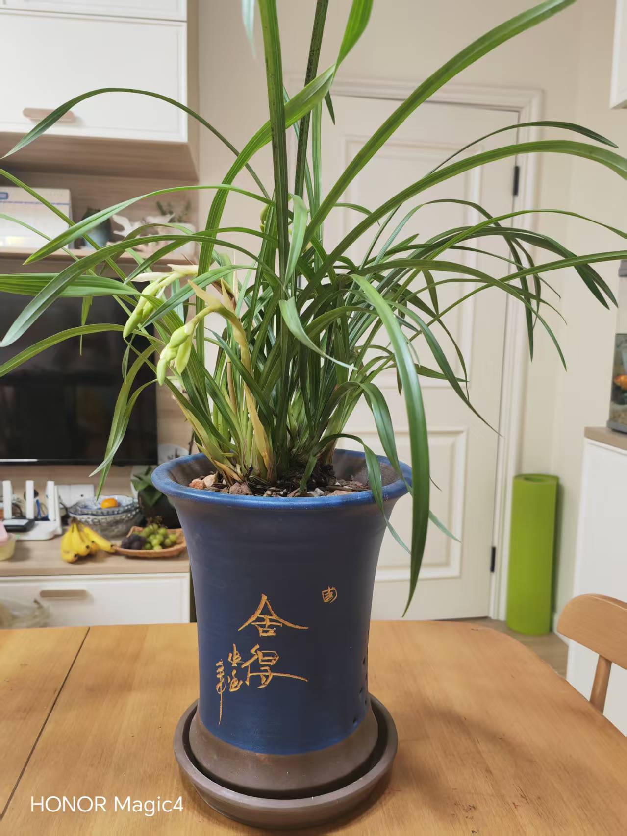 兰花